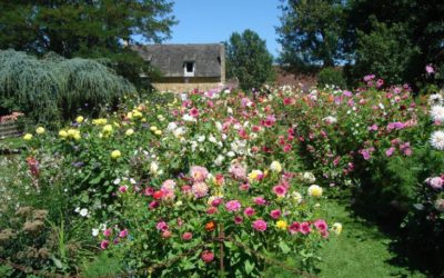 Les jardins du manoir d’Eyrgnac: Rendez-vous pour 2017